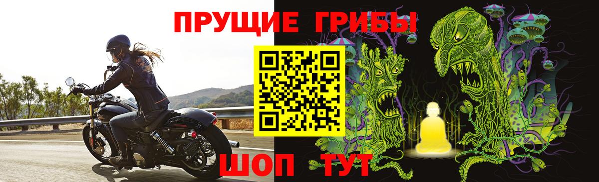 Псилоцибиновые грибы Psilocybine cubensis Заинск