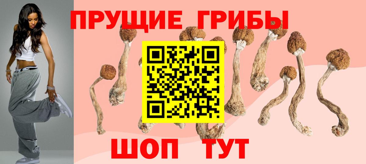 купить наркотик  Псилоцибиновые грибы ЛСД  Вход с VPN  Заинск  Галлюциногенные грибы Psilocybine cubensis 